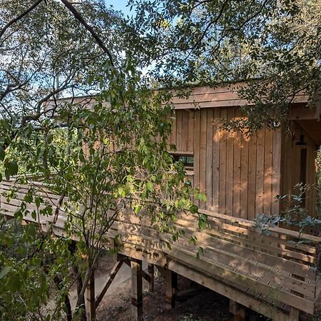 Les Cabanes Dans Les Bois Logis Hotel Villedubert Ngoại thất bức ảnh