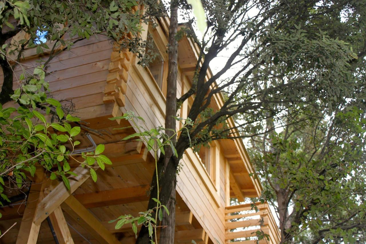 Les Cabanes Dans Les Bois Logis Hotel Villedubert Ngoại thất bức ảnh