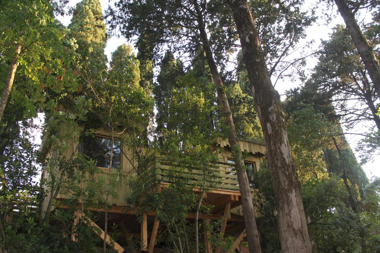 Les Cabanes Dans Les Bois Logis Hotel Villedubert Phòng bức ảnh